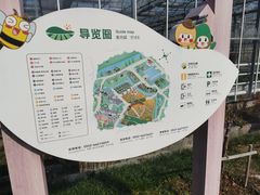-苏州太湖西山岛开心农场
