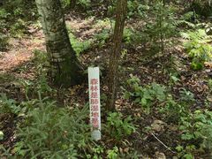 -茅兰沟国家森林公园
