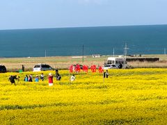 -青海湖国家重点风景名胜区