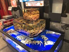 -蟹道乐(道顿堀本店)