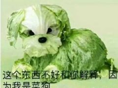 -糯米卷