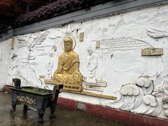 -大金鹰园