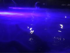 -南京汤山紫清湖生态旅游温泉度假区