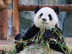 -泉州海丝野生动物世界