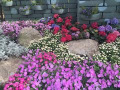 -上海植物园·停车场