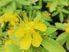 -南通博物苑-崇川人民公园