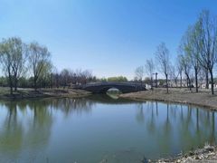 -东郊湿地公园