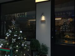 -MOLECULECOFFEE.MANDO 莫勒喝咖啡