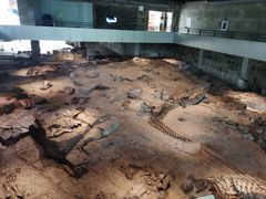 -自贡恐龙博物馆