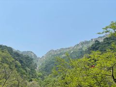 -泰山风景名胜区