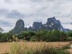 -明仕田园