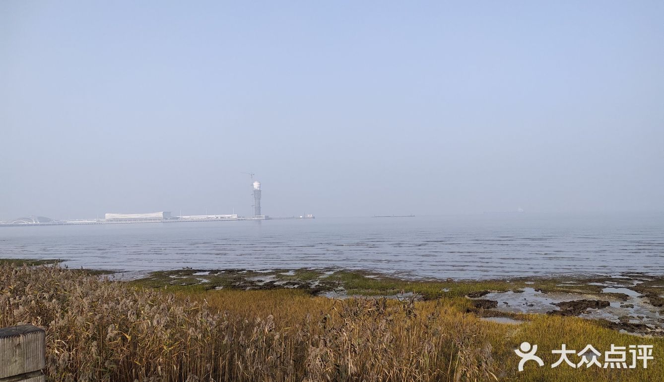 上海吳淞炮臺灣溼地森林公園get