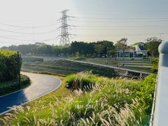 -福田红树林生态公园