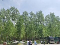 -黄海国家森林公园