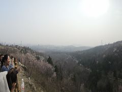-白水寺森林公园