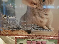 -龙猫仔乐园(惠福东路店)