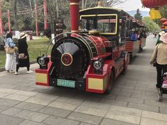 -云南民族村