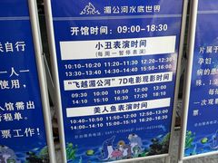 -西双版纳原始森林公园