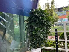 -Cetus coffee鲸鱼座咖啡·拼豆(二仙桥公园店)