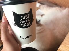 -喵屿·大理花园猫咖