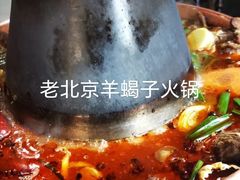 -老北京羊蝎子(永德路店)