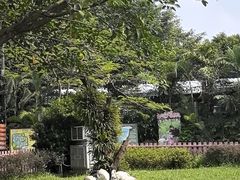 -广州长隆飞鸟乐园