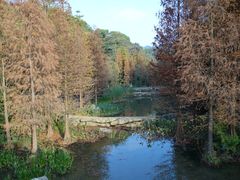 景点-云溪植物园
