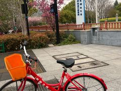 -杭州龙禧福朋喜来登酒店