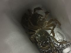 -丫丫蟹庄·苏式园林农家乐·阳澄湖大闸蟹(阳澄湖莲花岛店)