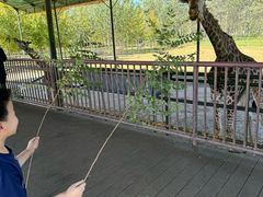 -秦皇岛野生动物园