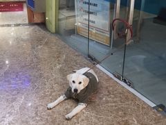 -李先生的首尔小馆(松江启源广场店)