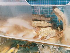 -胖姐渔村(中源大道店)
