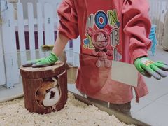 -怪兽屋·羊驼·猫咖·狗咖(俊华广场店)