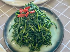 清香枸杞苗-国强手抓(北京西路店)