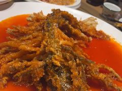 -直隶安家牛肉罩饼(建华店)