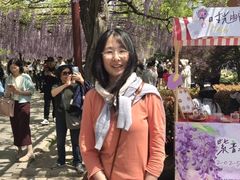 -嘉定紫藤园