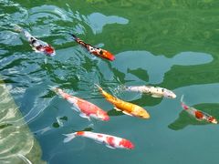 -重庆神龙峡漂流