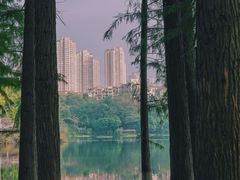 -重庆彩云湖湿地公园