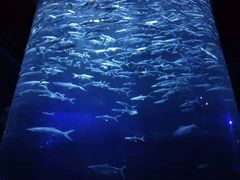 -香港海洋公园