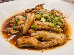 -阿毛饭店首店·宁波老字号(文化广场店)