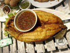 -卷心菜和避孕套餐厅(Pattaya)