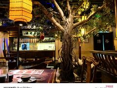 -绿茶餐厅(领展购物广场·中关村店)