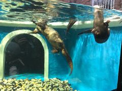 -成都浩海立方海洋公园