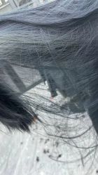 -ML名流·剪发烫发染发
