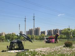 -菊园百果园