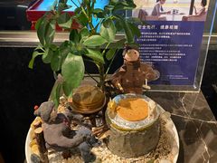 -长春凯悦酒店-品悦中餐厅