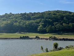 -平湖九龙山旅游度假区