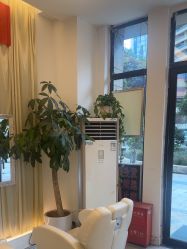 -妍理·植物养发