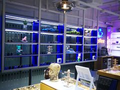 -鲸渝眼镜·浅目视光(春熙路店)