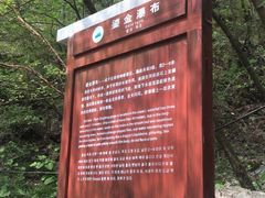 -青峰峡国家森林公园